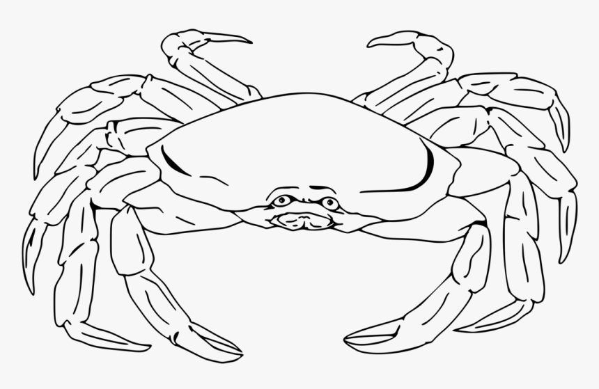 Crab Clipart Crab Drawing, HD Png Download, Free Download