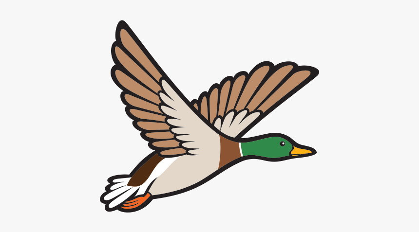 Goose Clipart Bird Fly - Mallard Duck Clip Art, HD Png Download, Free Download