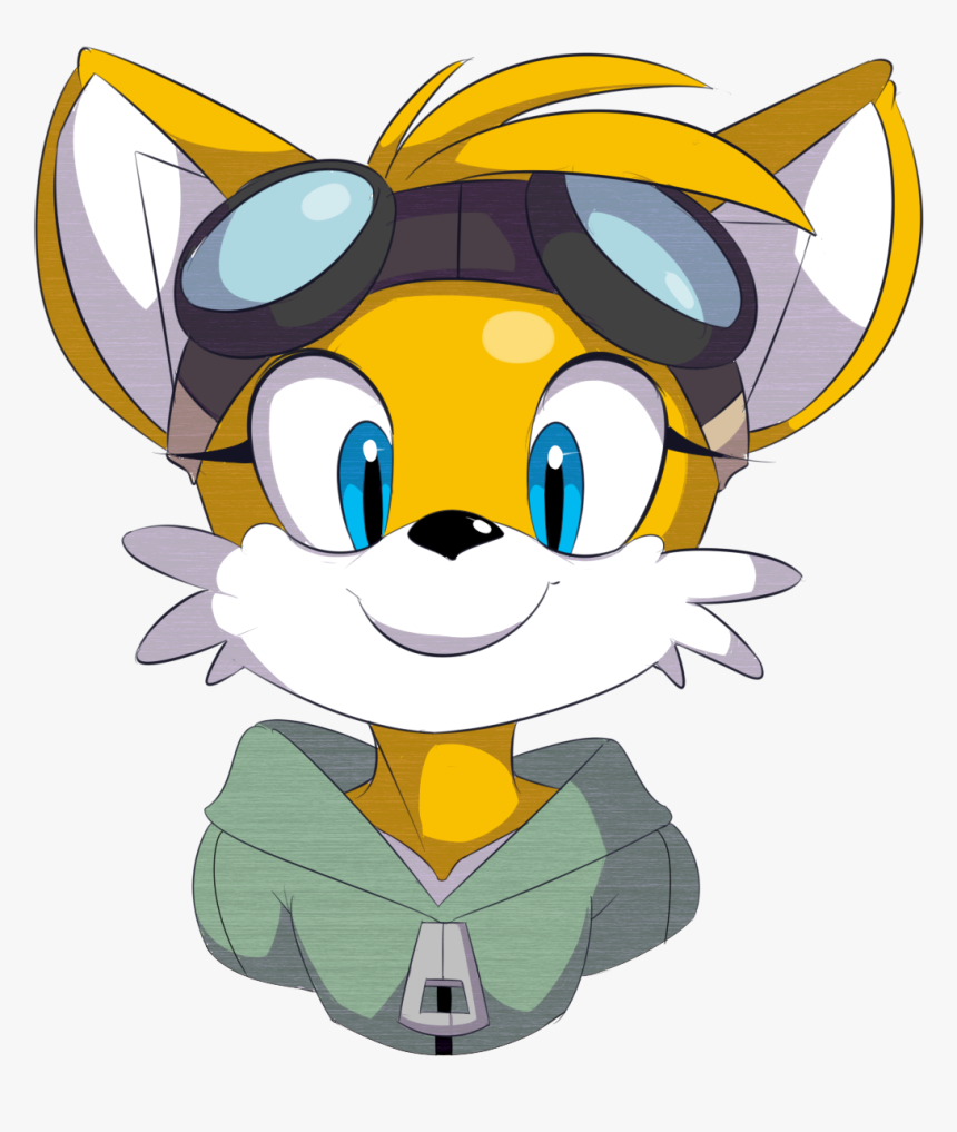 Tails Stupid Cute Face - Cartoon, HD Png Download, Free Download