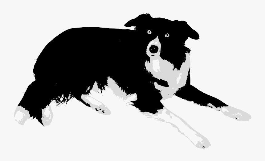 Border Collie Rough Collie Bearded Collie Old English - Cute Border Collie Clipart, HD Png Download, Free Download