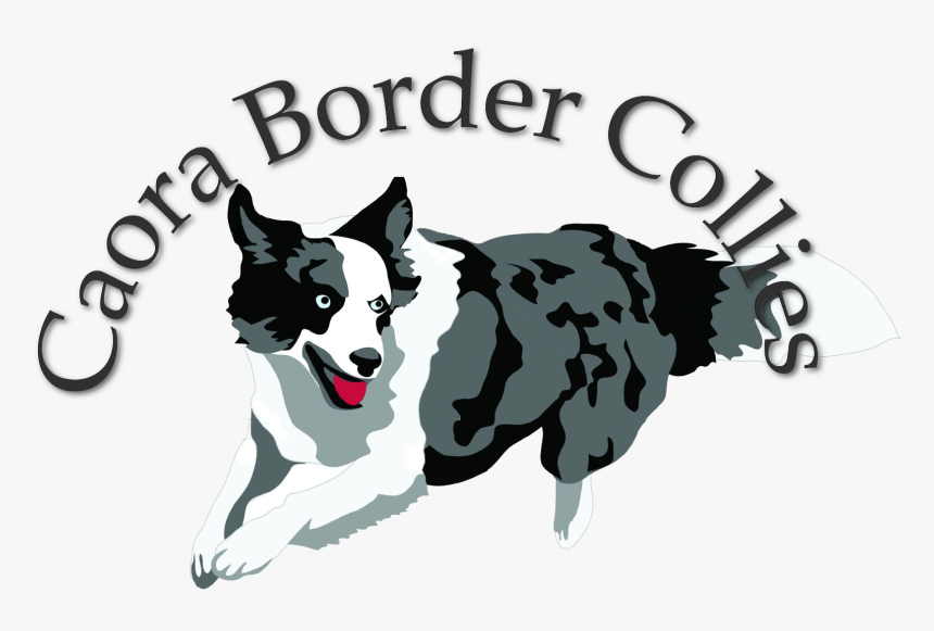 Cbc-logo - Border Collie Dog Logo, HD Png Download, Free Download