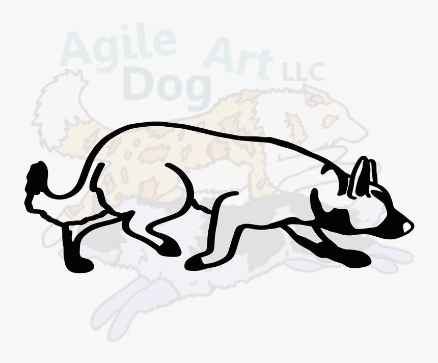 Smooth Border Collie, HD Png Download, Free Download