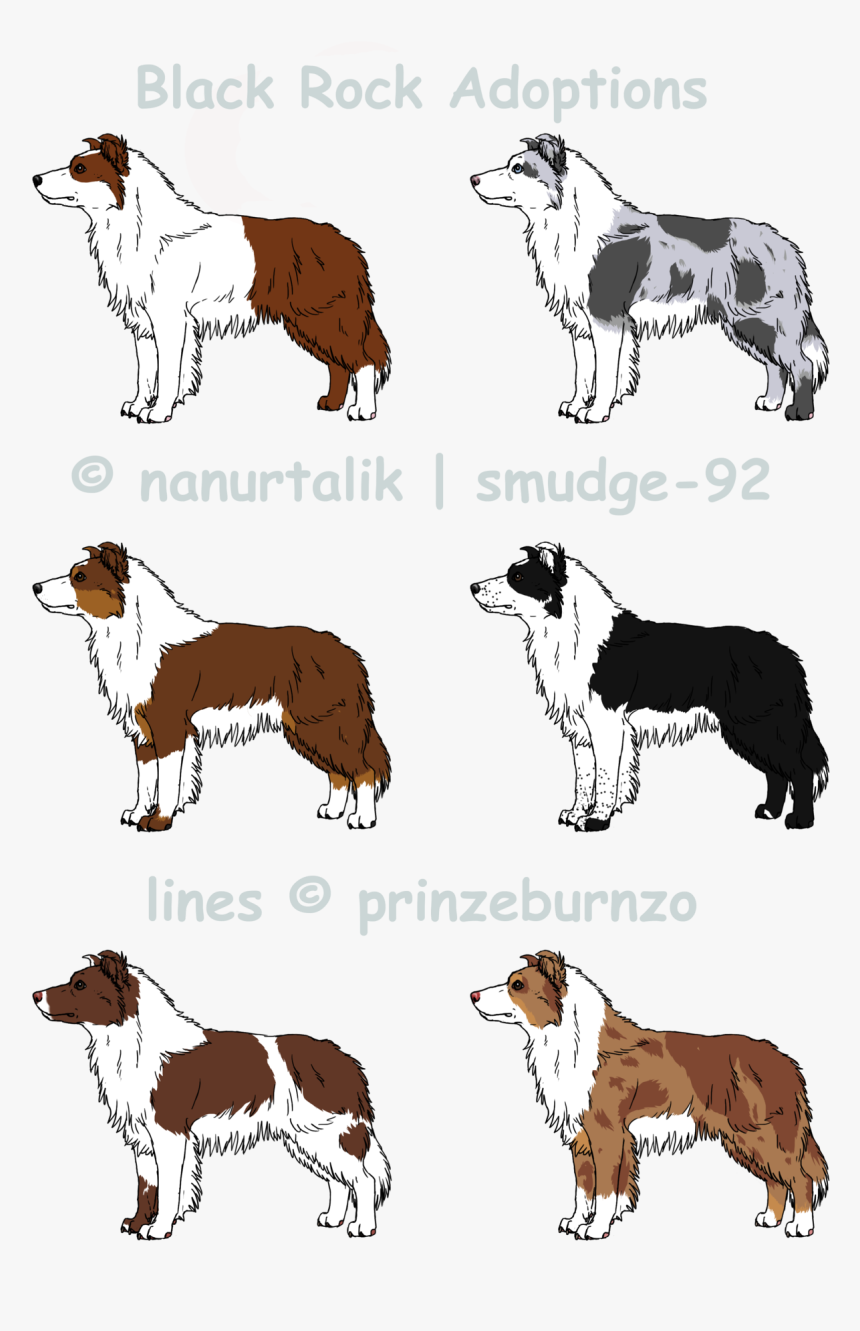 Blue Collie Breed Dog Companion Merle Border Clipart - Mane, HD Png Download, Free Download