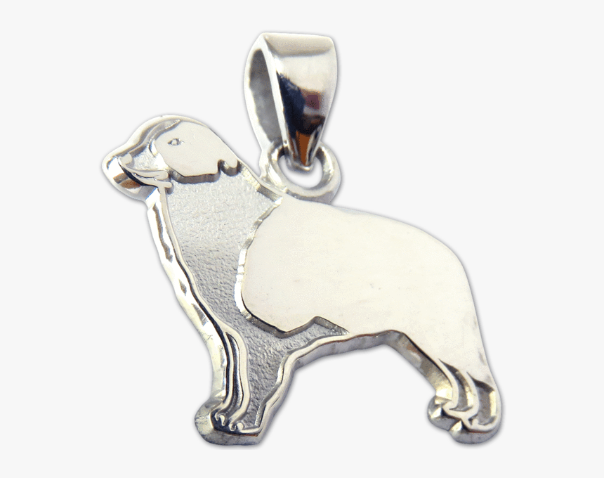Border Collie Charm Pendant - Pug, HD Png Download, Free Download