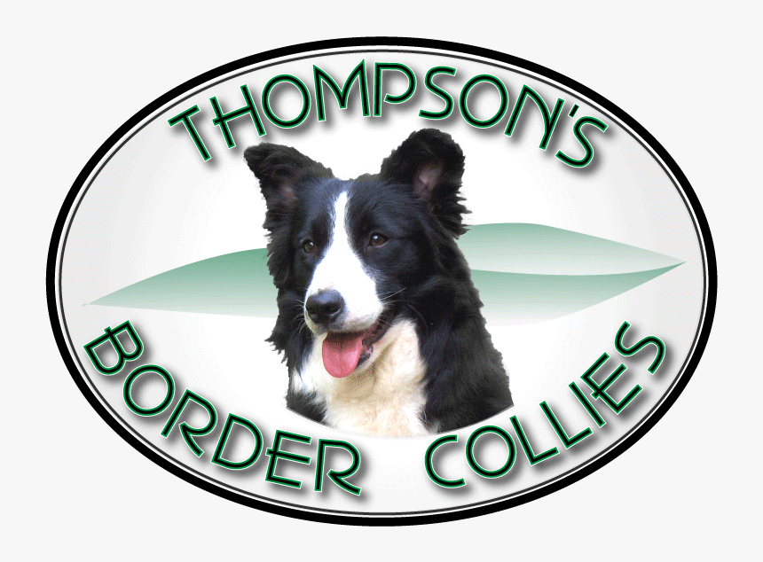 Border Collie Logos, HD Png Download, Free Download