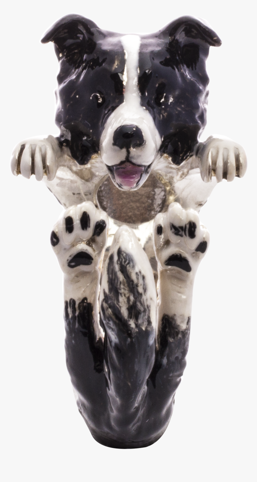 Border Collie Dog Fever, HD Png Download, Free Download