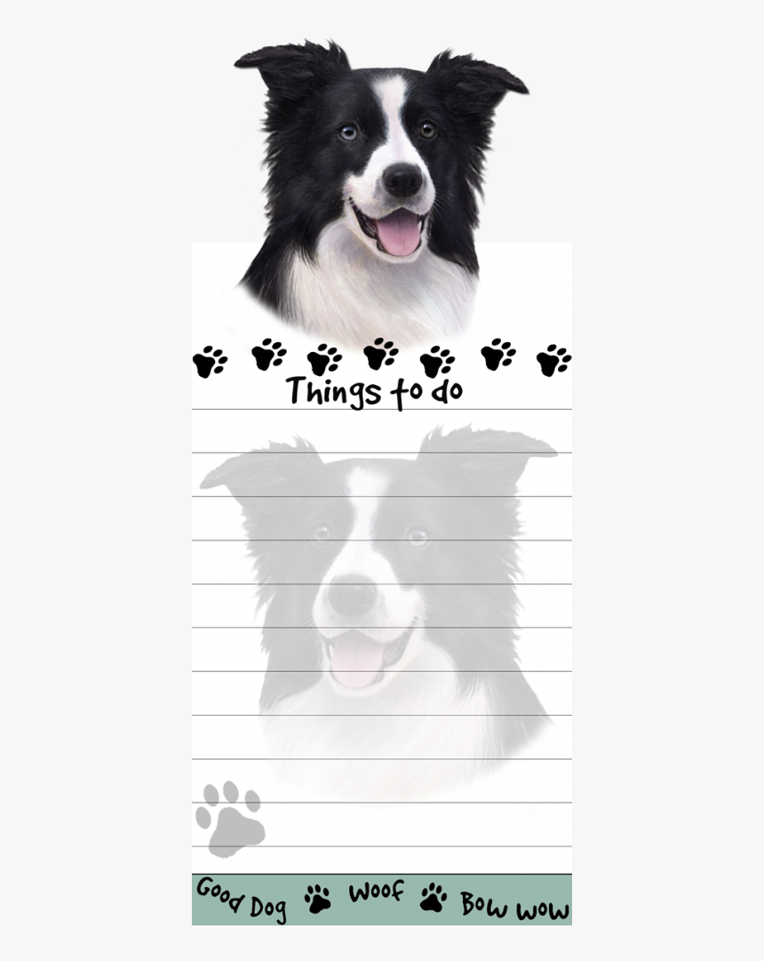 Border Collie - Shih Tzu, HD Png Download, Free Download