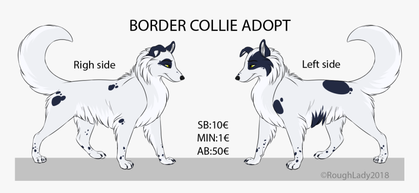 Border Collie Adopt-closed - Michael Jackson Arno Bani, HD Png Download, Free Download