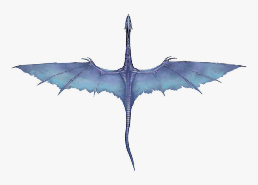 Blue Purple Dragon Png , Png Download - Blue-footed Booby, Transparent Png, Free Download