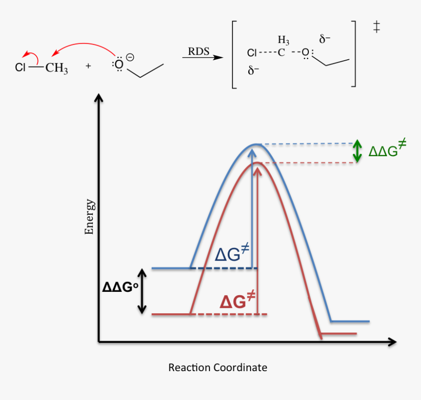 Solvent Effect Sn1 Mechanism - Solvent Effect Sn1, HD Png Download, Free Download