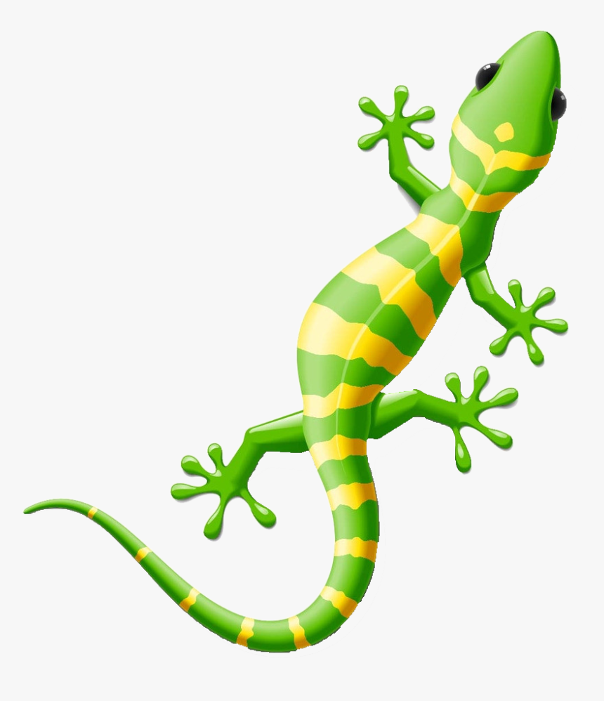Lizard Clipart Reptile Amphibian - Lizard Clipart, HD Png Download, Free Download