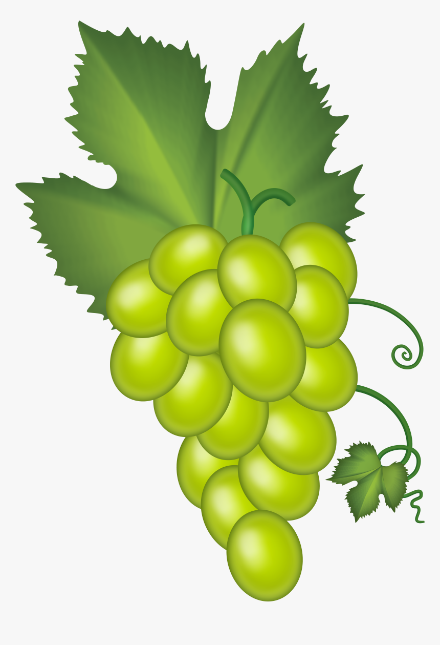 White Grape Cluster Png Clip Art - Green Grapes Clipart Png, Transparent Png, Free Download