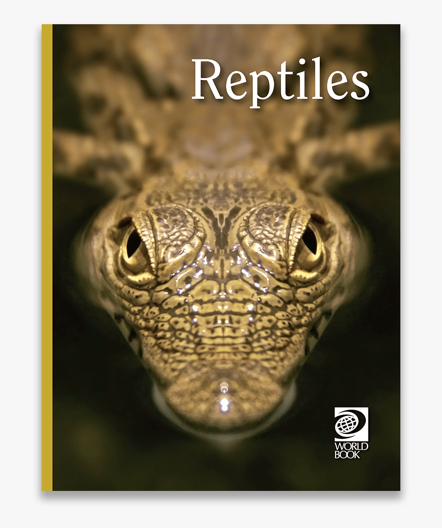 Reptile Books, HD Png Download, Free Download