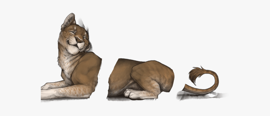 Domestic Short-haired Cat, HD Png Download, Free Download