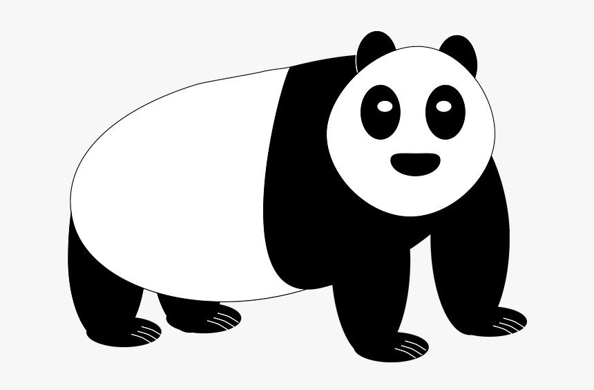 Transparent Bear Clip Art - Giant Panda, HD Png Download, Free Download