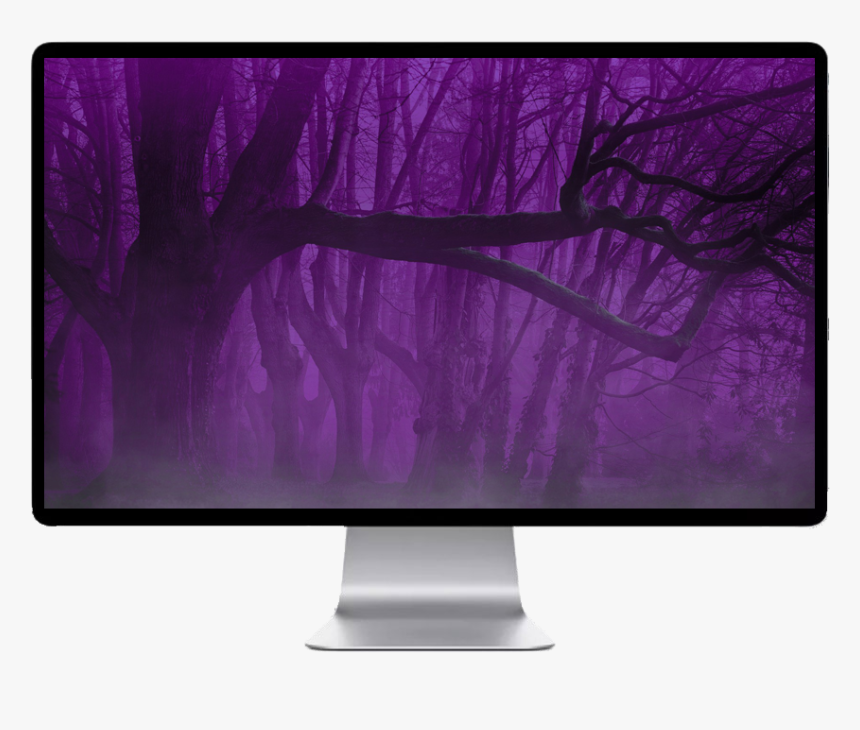 High Resolution Dark Forest Background, HD Png Download, Free Download