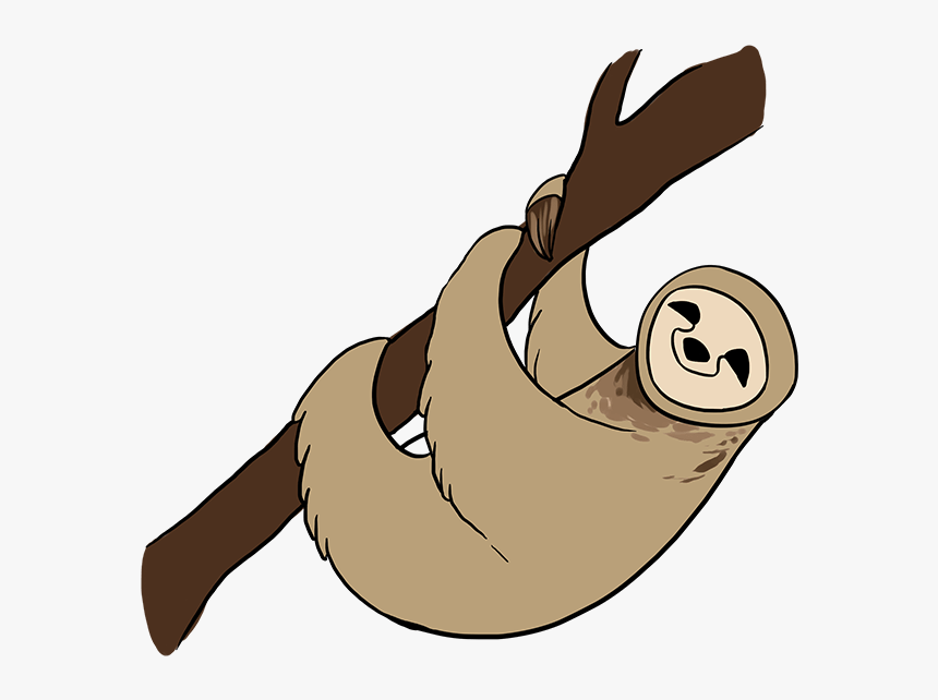 Transparent Sloth Face Png - Sloth Drawing, Png Download, Free Download