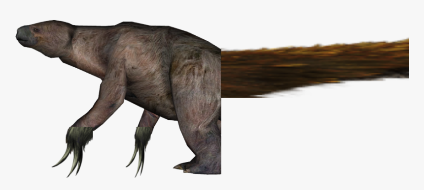 Speculative Evolution Wiki - Speculative Evolution Sloths, HD Png Download, Free Download