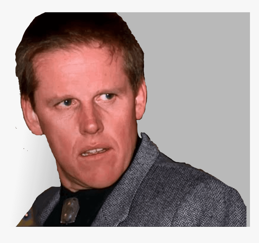 Transparent Gary Busey Png - Happened To Gary Busey, Png Download, Free Download