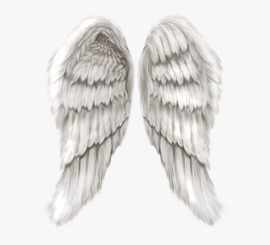 Transparent Background Angel Wings Png, Png Download, Free Download