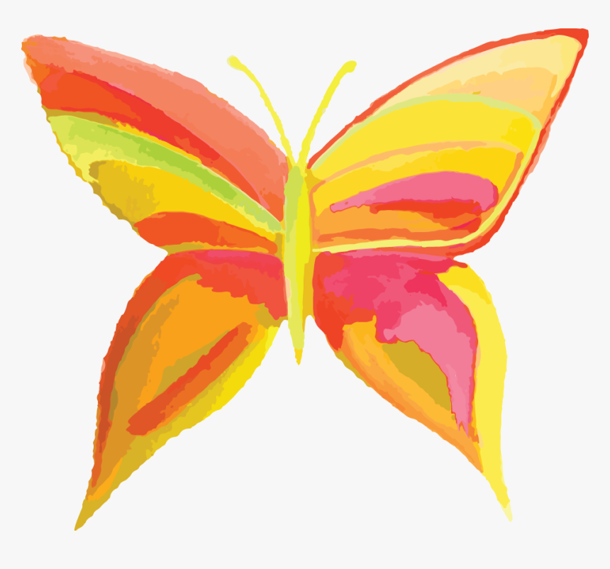 Butterfly, HD Png Download, Free Download