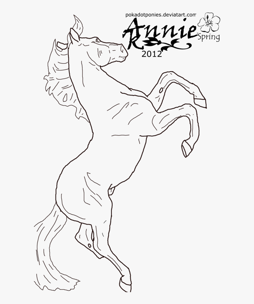 Galloping Horses Coloring Pages Rearing Horse Drawing - Free Coloring Pages Breyer Horse, HD Png Download, Free Download