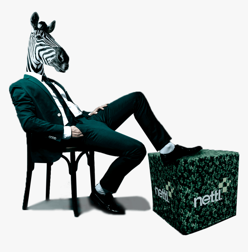 Zebra-headed Business Man Promoting 50% Off Displays - Sitting, HD Png Download, Free Download