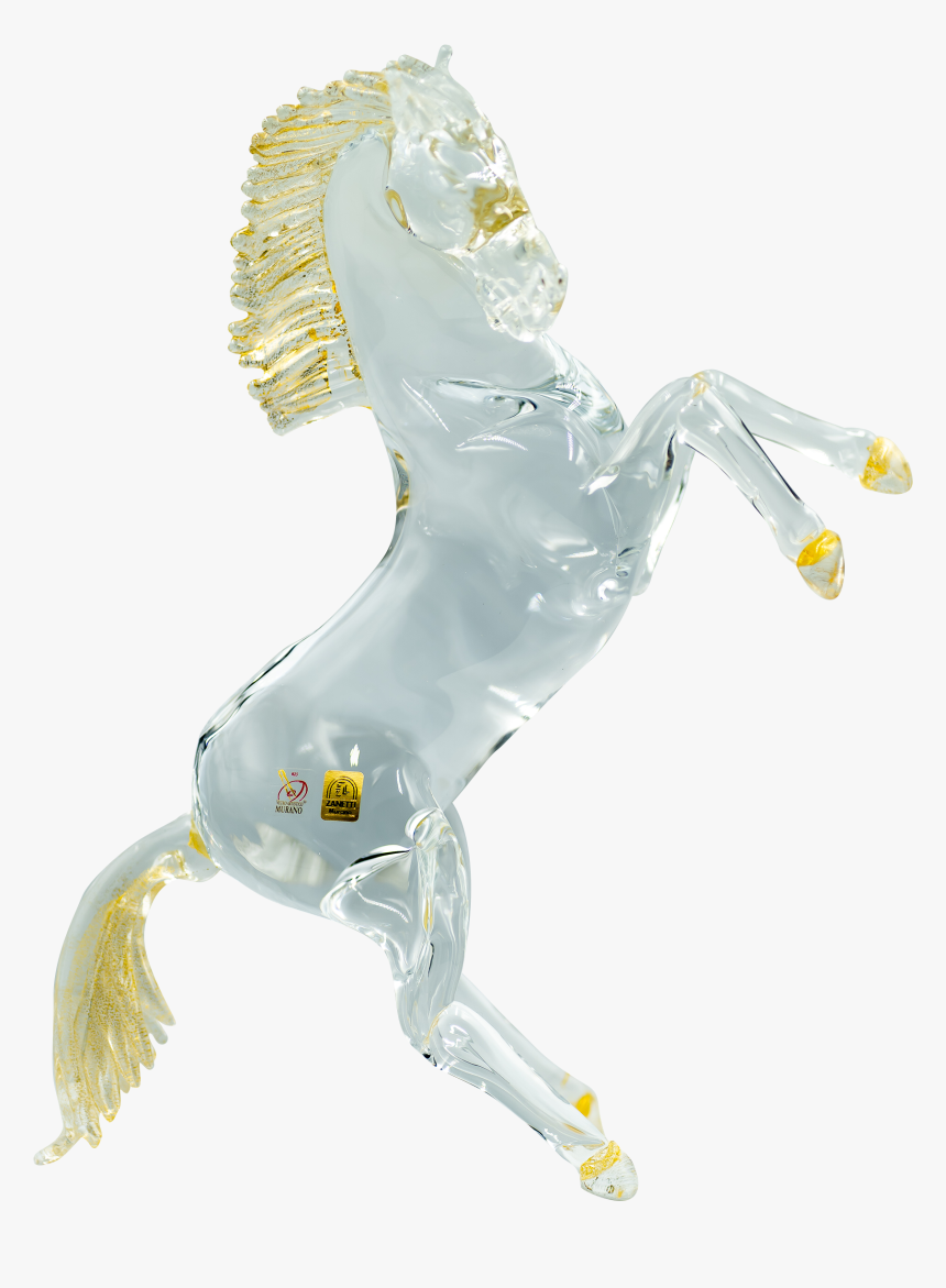 05304 - Northern Seahorse, HD Png Download, Free Download