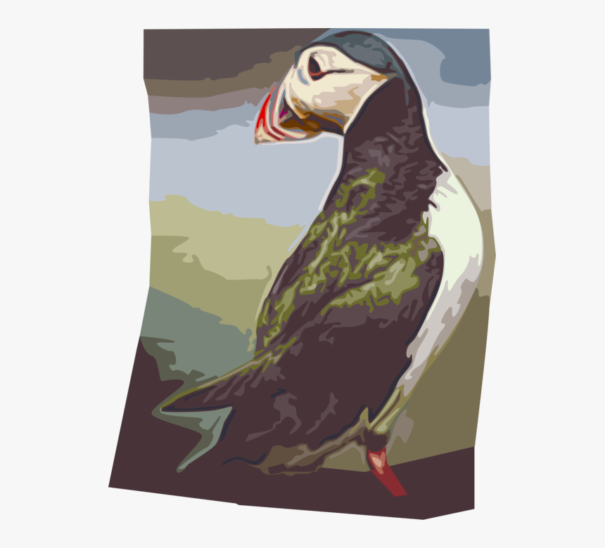 Vector Illustration Of Icelandic Pelagic Seabird Puffin - Atlantic Puffin, HD Png Download, Free Download