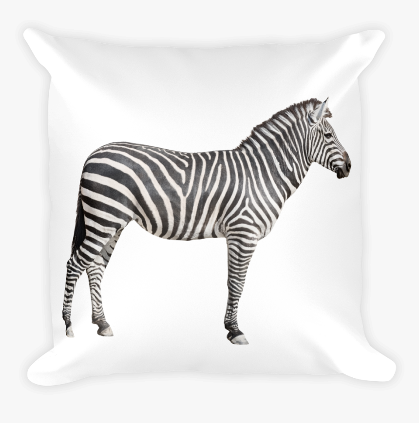 "
 Class="lazyload Lazyload Mirage Cloudzoom Featured - Zebra Side View, HD Png Download, Free Download