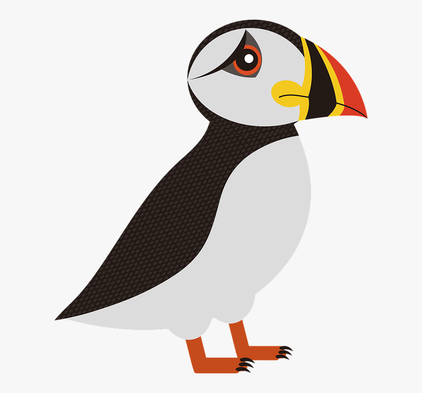 Puffin, Bird, Sea, Birds, Animal, Iceland, Waterfowl - Lunde Fugl Png, Transparent Png, Free Download