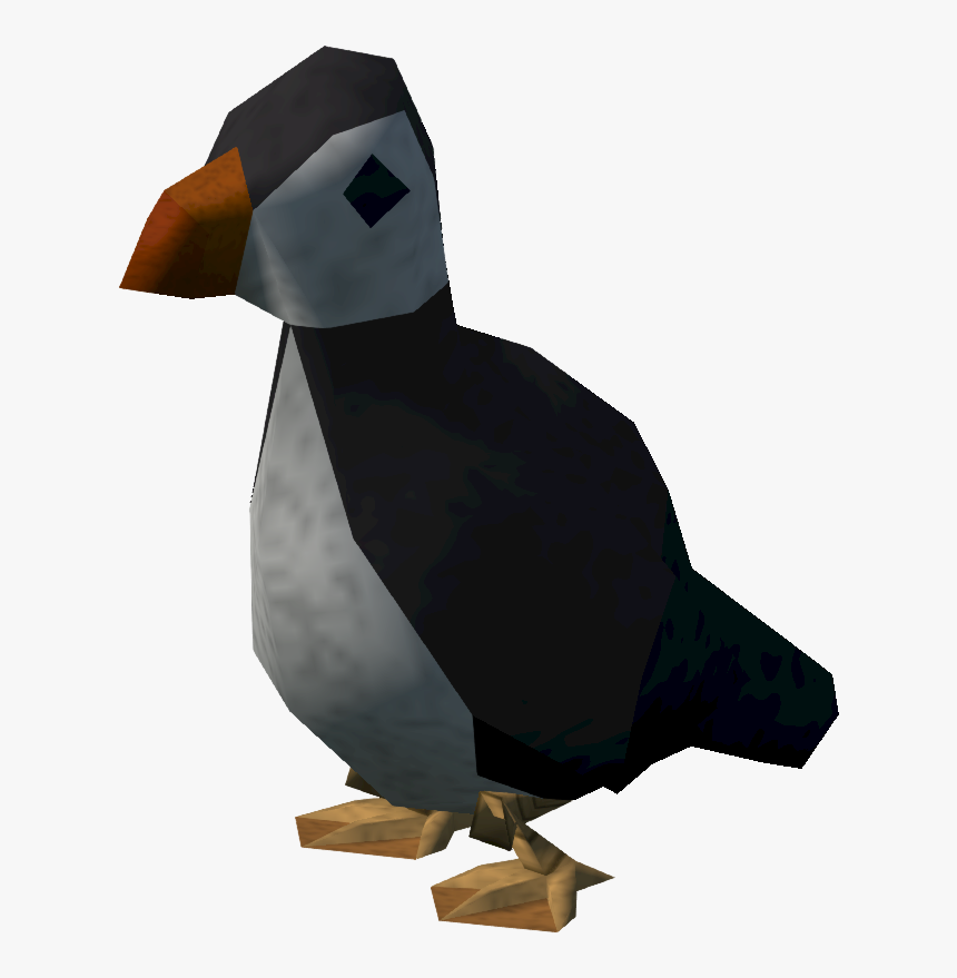 Puffin Png, Transparent Png, Free Download