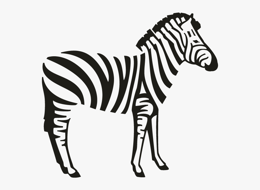 Zebra Motifs, HD Png Download, Free Download