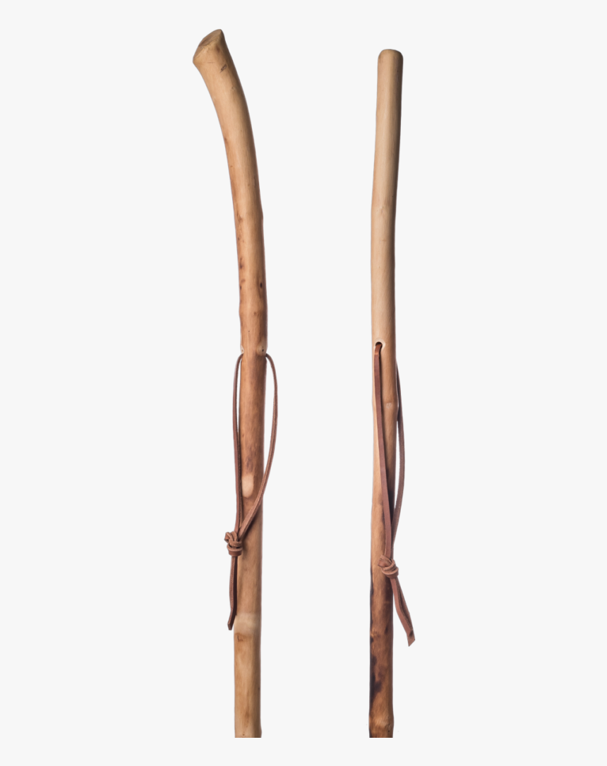 Dogwood Tree Walking Stick 160cm - Tree Wood Stick Png, Transparent Png, Free Download