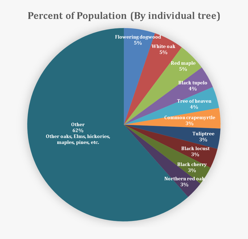 Tree Species Distribution - Many Trees Are In The Us, HD Png Download, Free Download