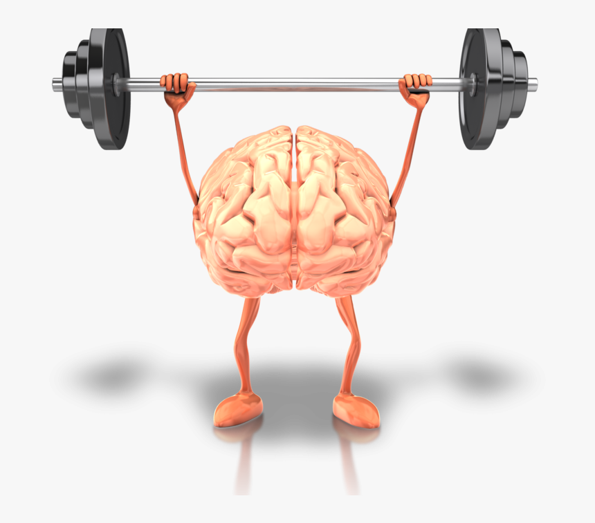 Healthy Brain, HD Png Download, Free Download