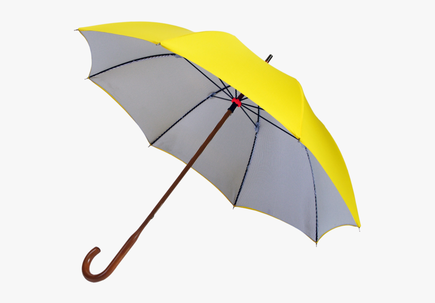 Umbrella, HD Png Download, Free Download