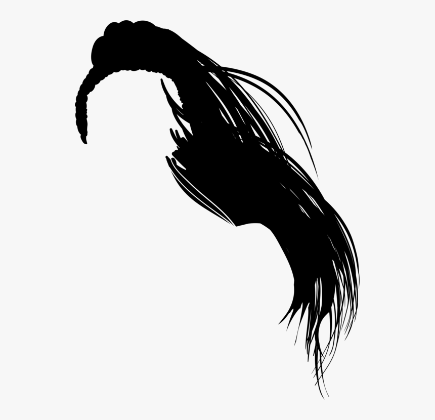 Horse,silhouette,claw - Long Hair Silhouette Png, Transparent Png, Free Download