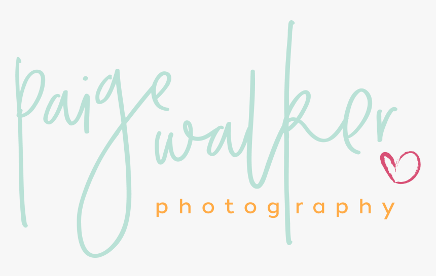 Family Photographers Logo Png, Transparent Png, Free Download