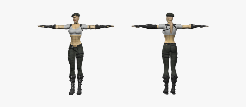 Download Zip Archive - Sonya Blade Character Mortal Kombat Vs Dc, HD Png Download, Free Download