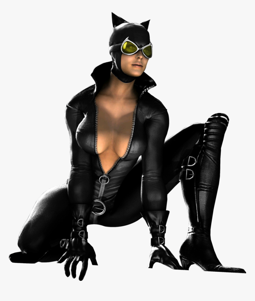 Catwoman Mortal Kombat Vs - Catwoman Dc Vs Mortal Kombat, HD Png Download, Free Download