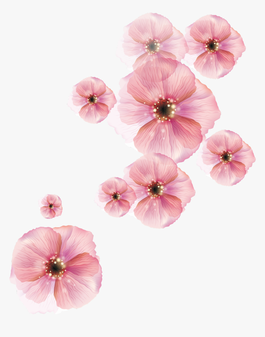 Transparent Geranium Clipart - Animated Flowers Transparent Background, HD Png Download, Free Download