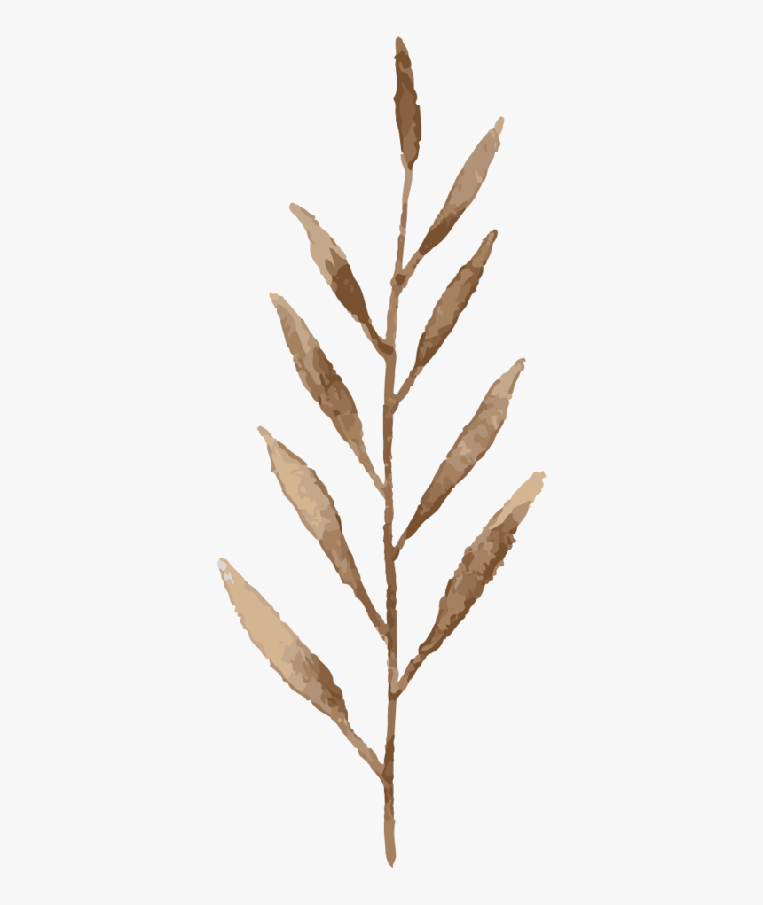 14 - Twig, HD Png Download, Free Download