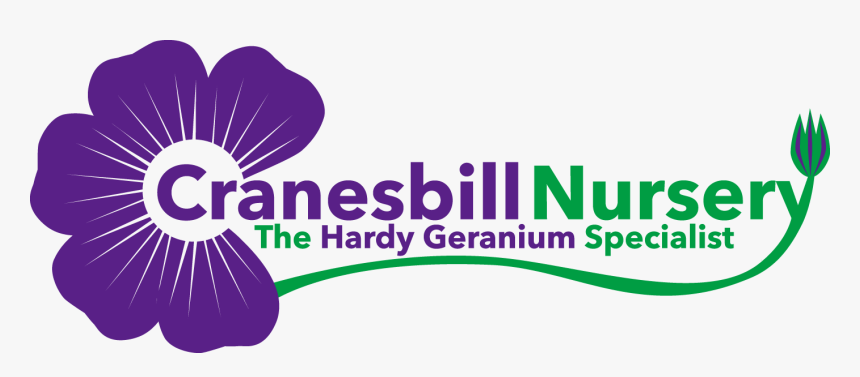 Cranesbill Nursery - Graphic Design, HD Png Download, Free Download