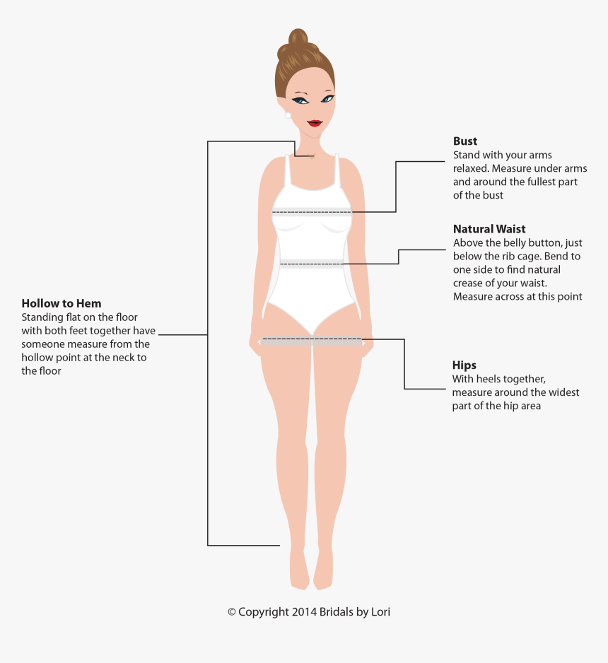 Perfect Female Figure - Cartoon, HD Png Download, Free Download