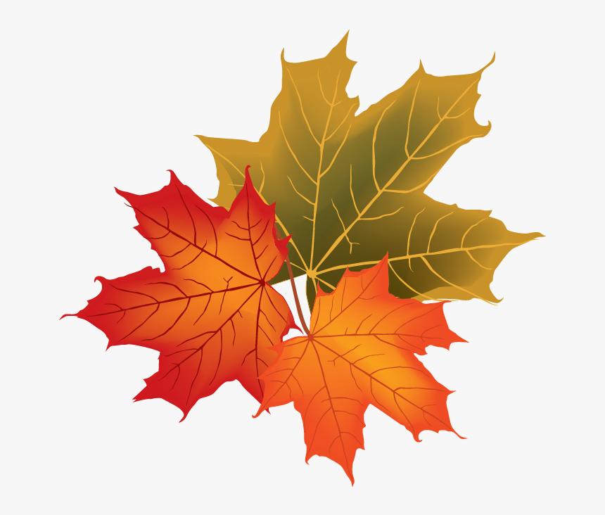 Fall Leaves Vector Png , Transparent Cartoons - Fall Leaves Vector Png, Png Download, Free Download