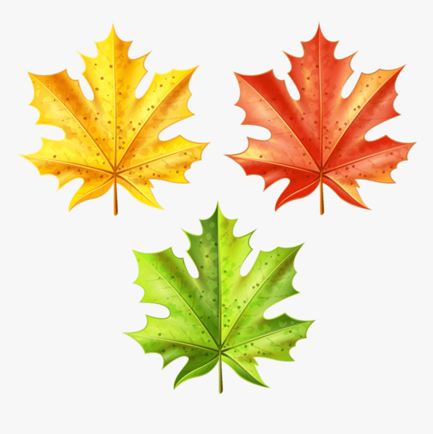 Download Set Of Autumn Leaves Clipart Png Photo - Clip Art, Transparent Png, Free Download