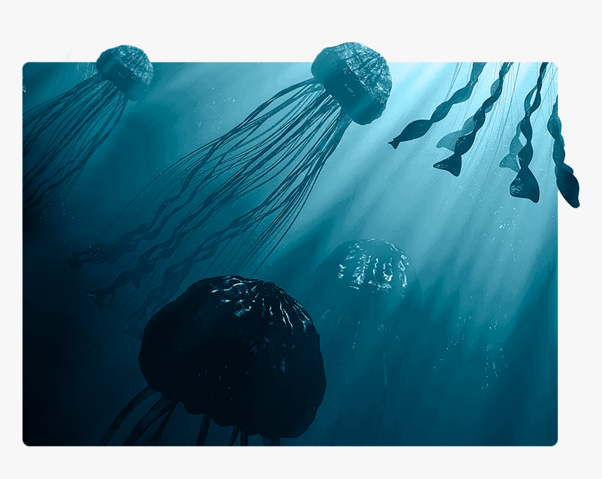 Underwater, Hd Png Download - Underwater, Transparent Png, Free Download