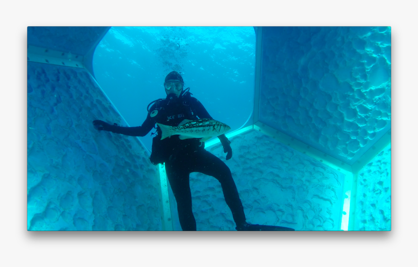 Doug Aitken Underwater Pavilions, HD Png Download, Free Download