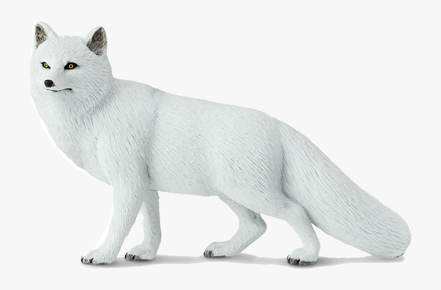 Arctic Fox Png Image File - Domestic Short-haired Cat, Transparent Png, Free Download